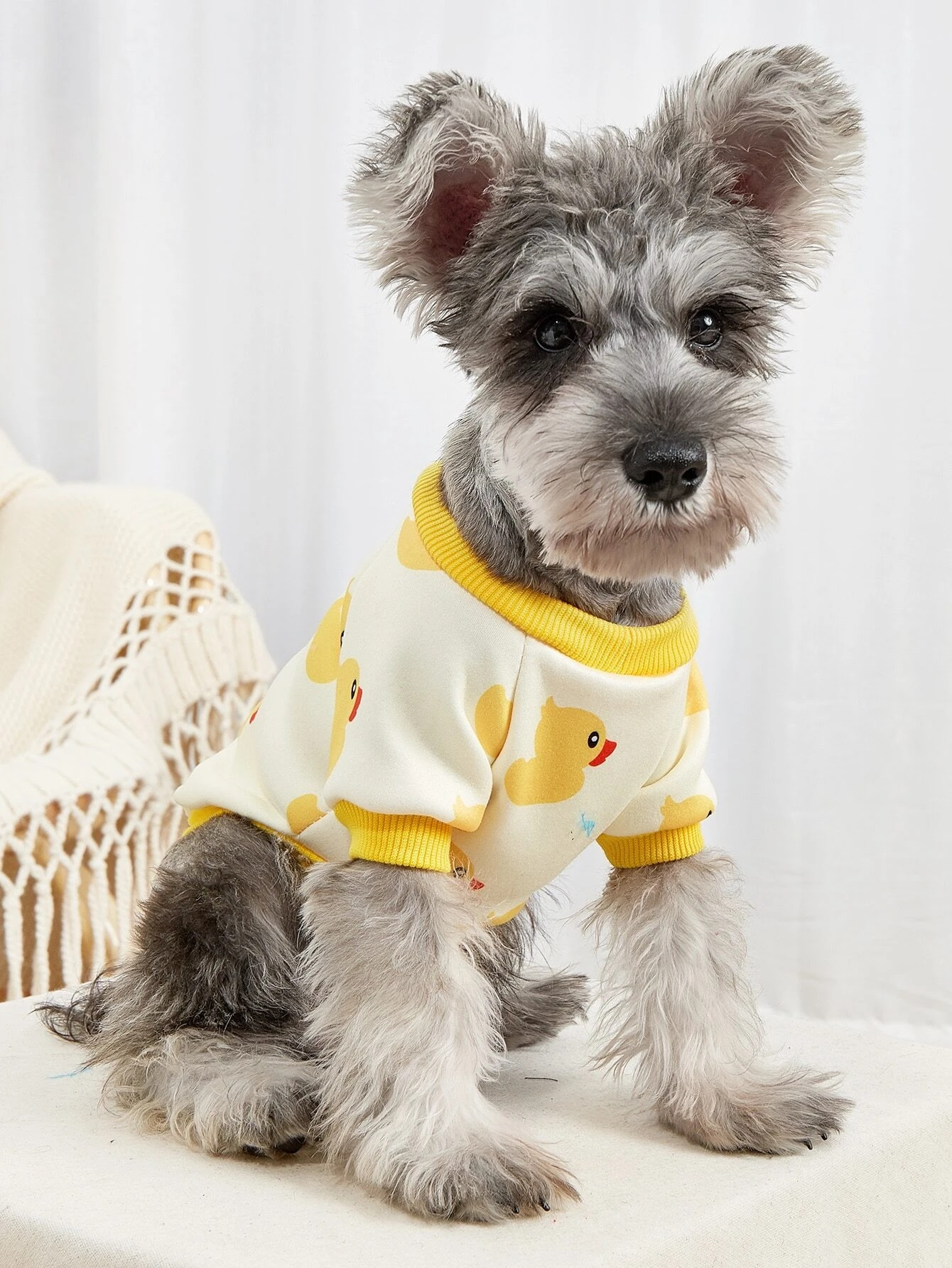 Žlutá mikina pro psa s potiskem