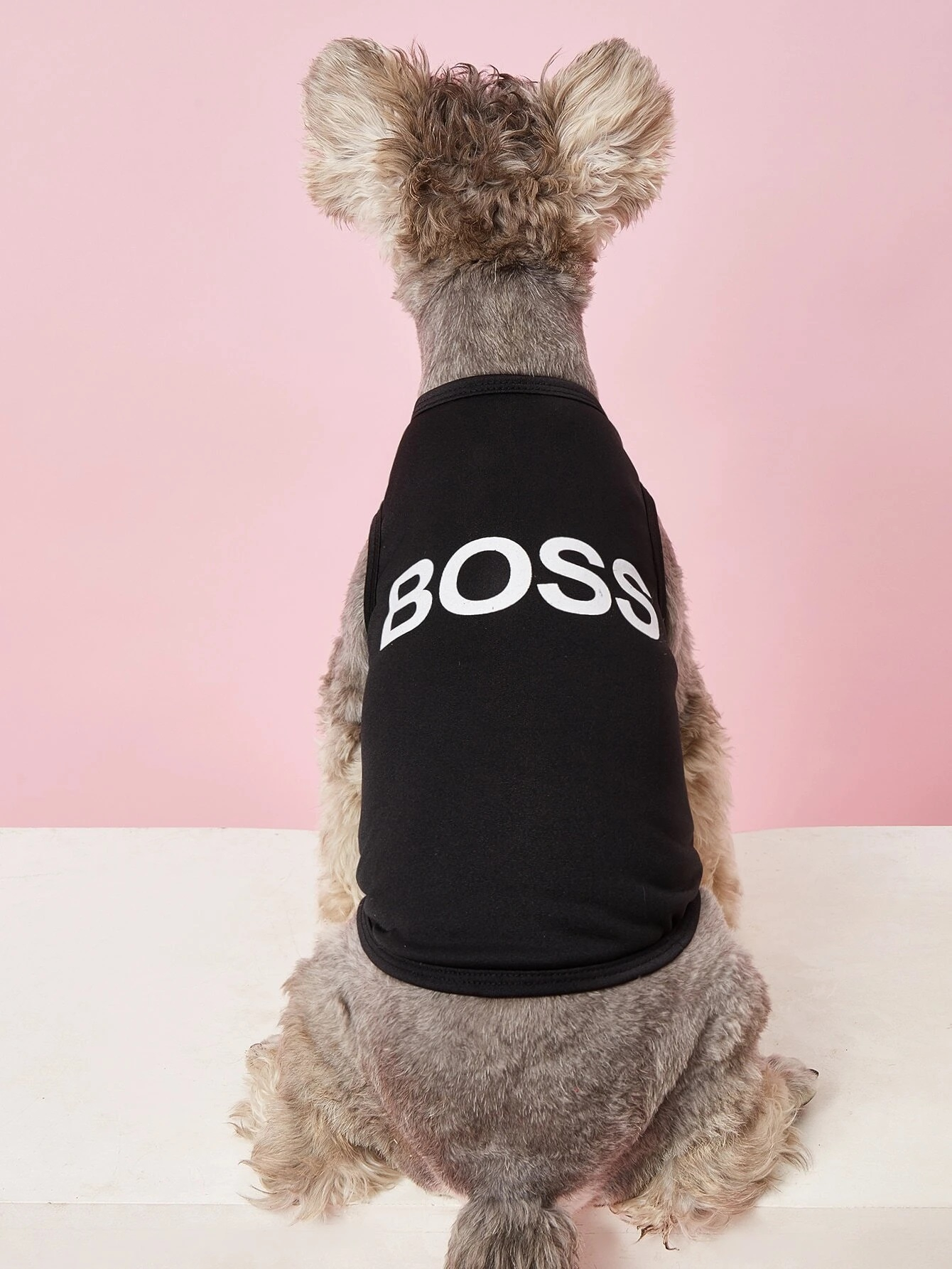 Černá mikina pro psa