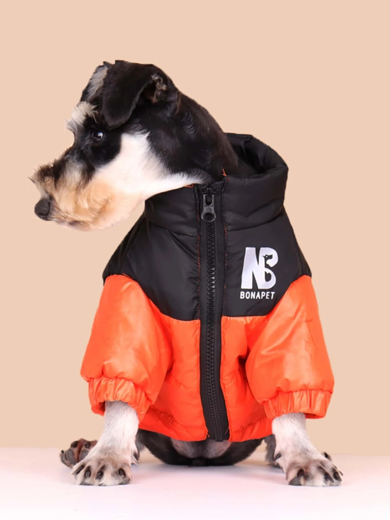 Oranžová větrovka pro psa