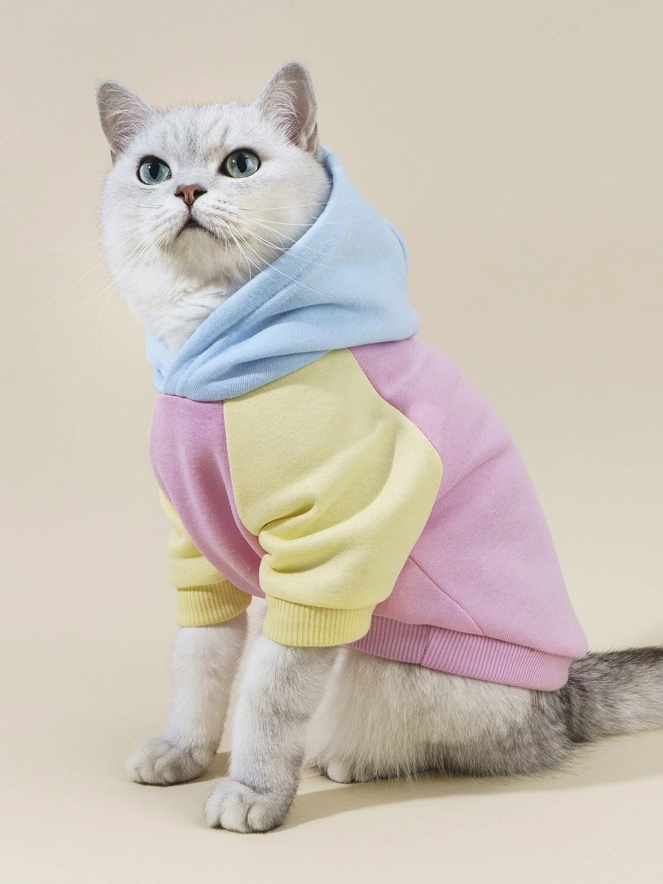 Barevná mikina pro domácího miláčka