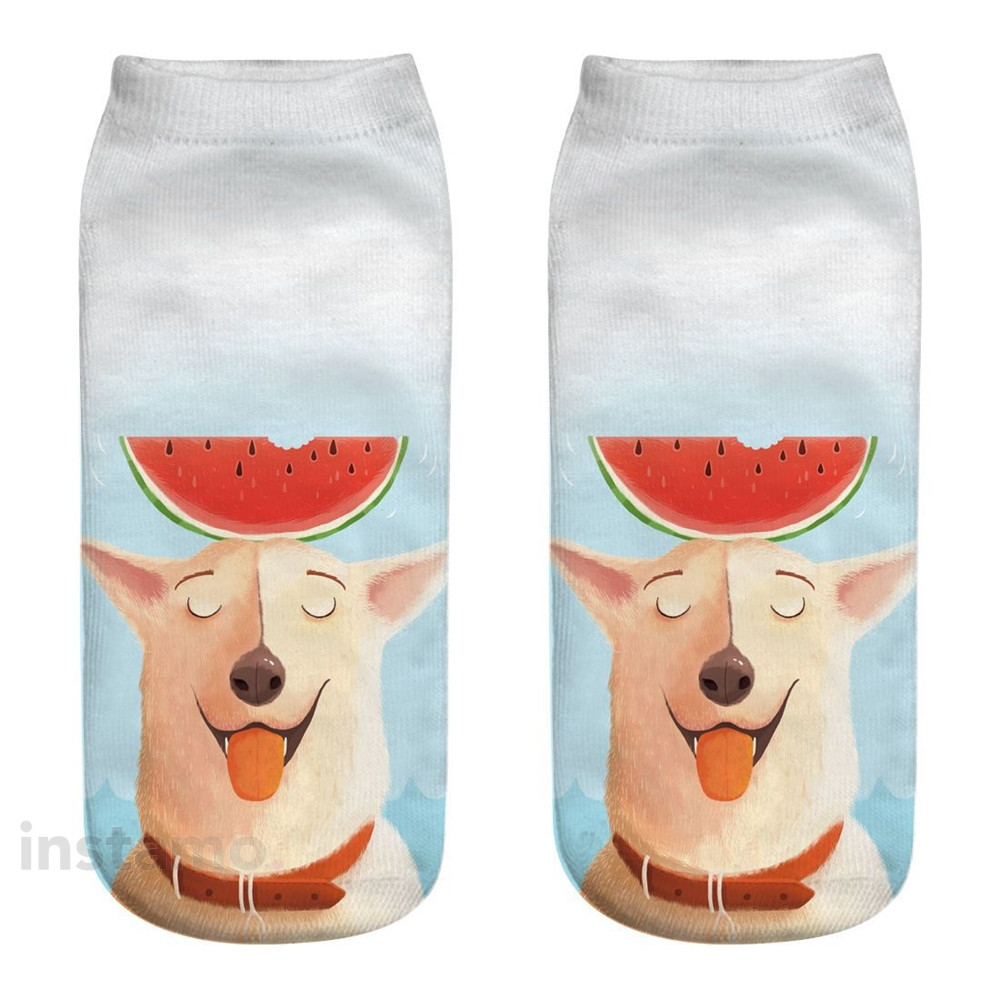 Ponožky Pes s melounem-182189-31