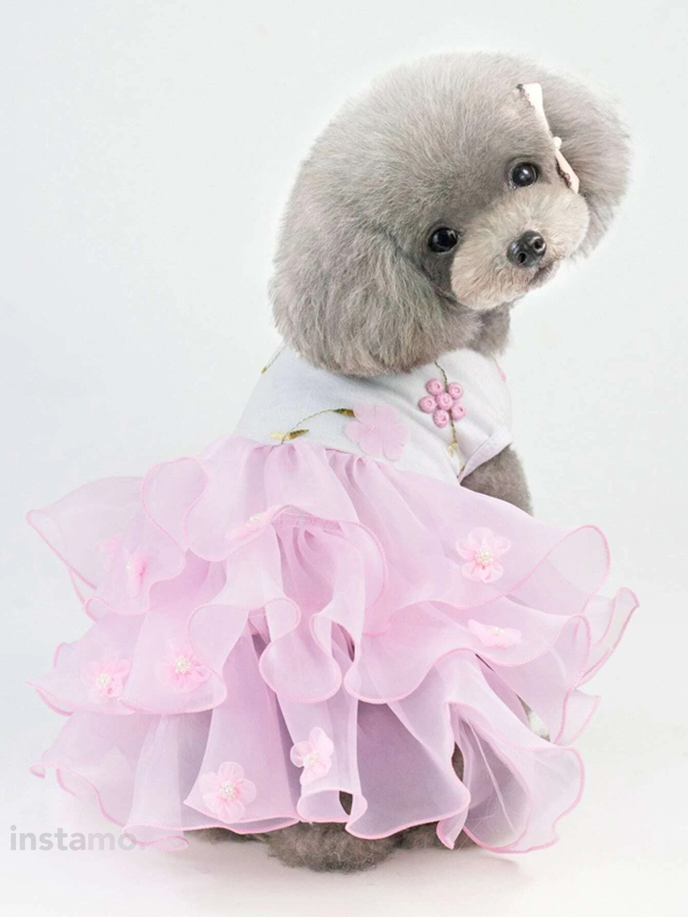 Růžové šaty pro psa-275891-35