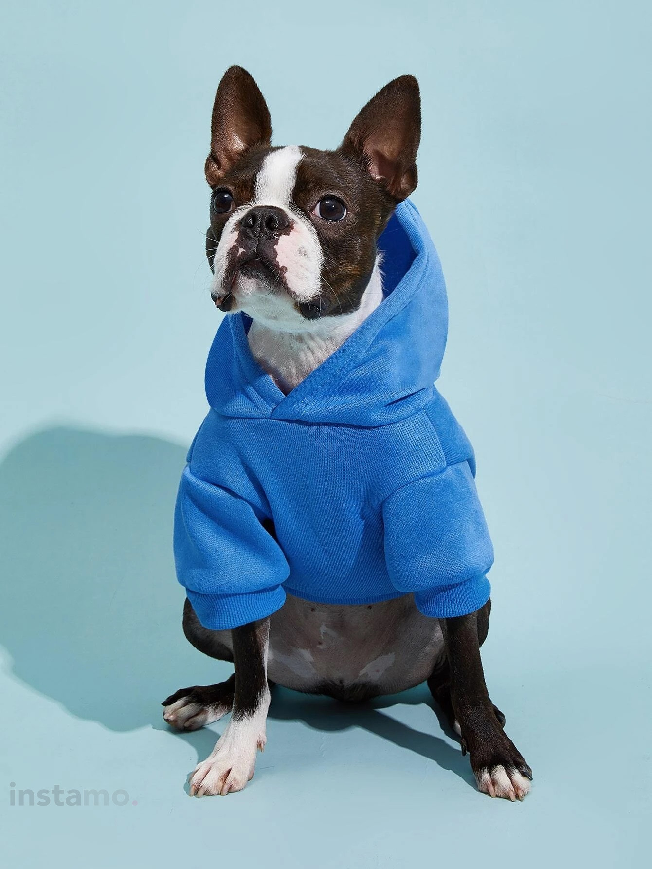 Modrá mikina pro psa s kapucí-275386-32