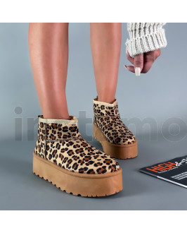 Leopardí sněhule