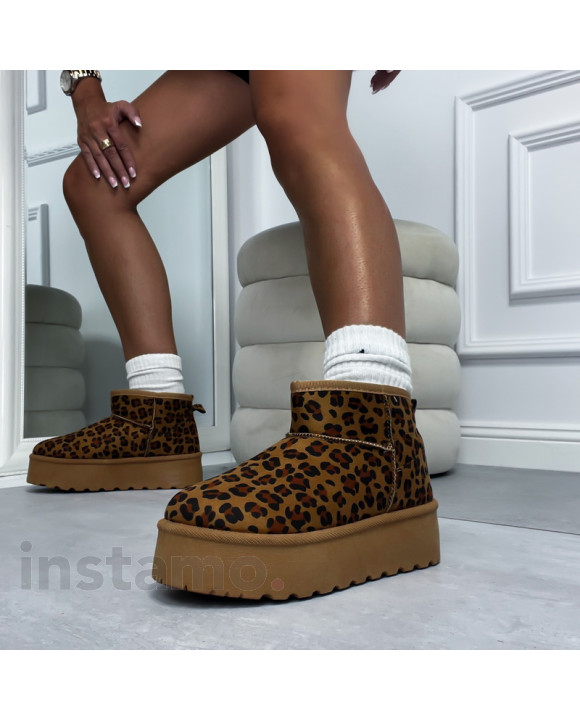 Leopardí sněhule-308733-20