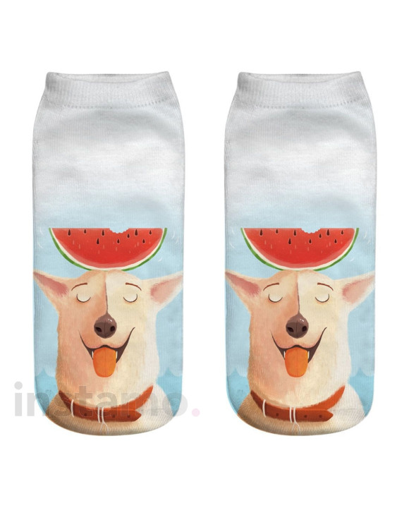 Ponožky Pes s melounem-182189-20