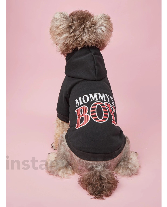 Černá mikina pro psa-275697-20