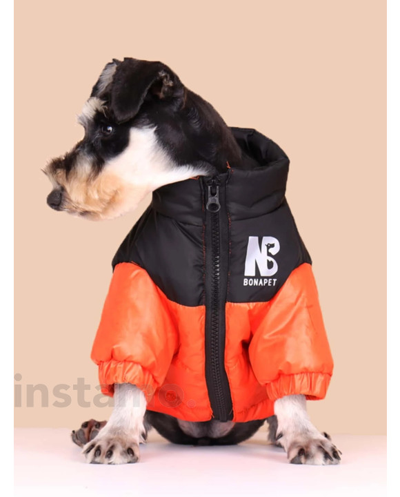 Oranžová větrovka pro psa-275085-20