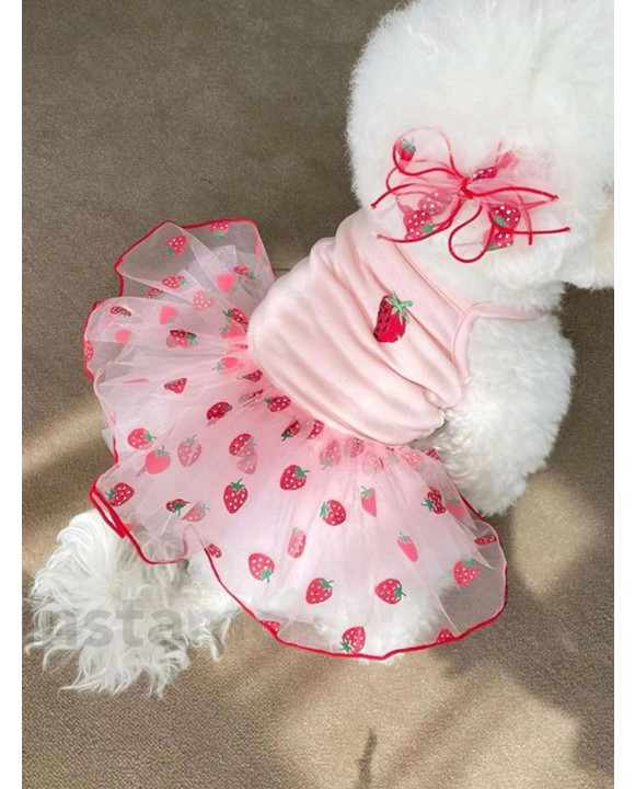 Růžové šaty pro psa-275894-20