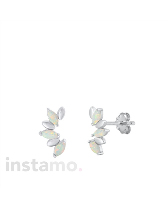 Stříbrné náušnice-293020-20