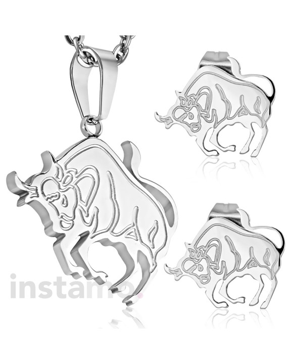 Dámska oceľová súprava