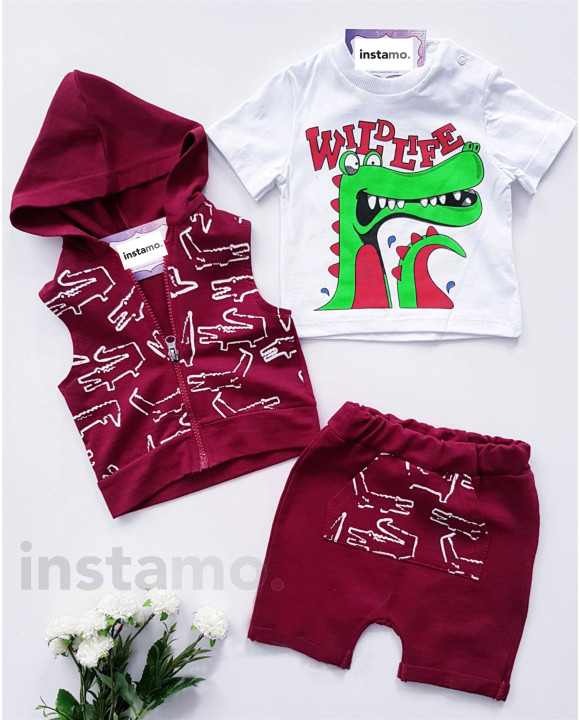 Třídílný vínový set-250608-20