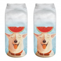 Ponožky Pes s melounem-182189-01