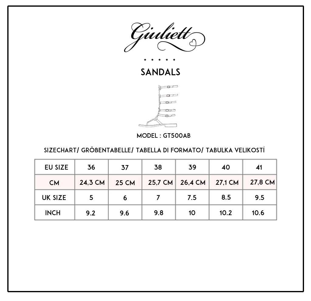 Giuliett GT500 sizechart